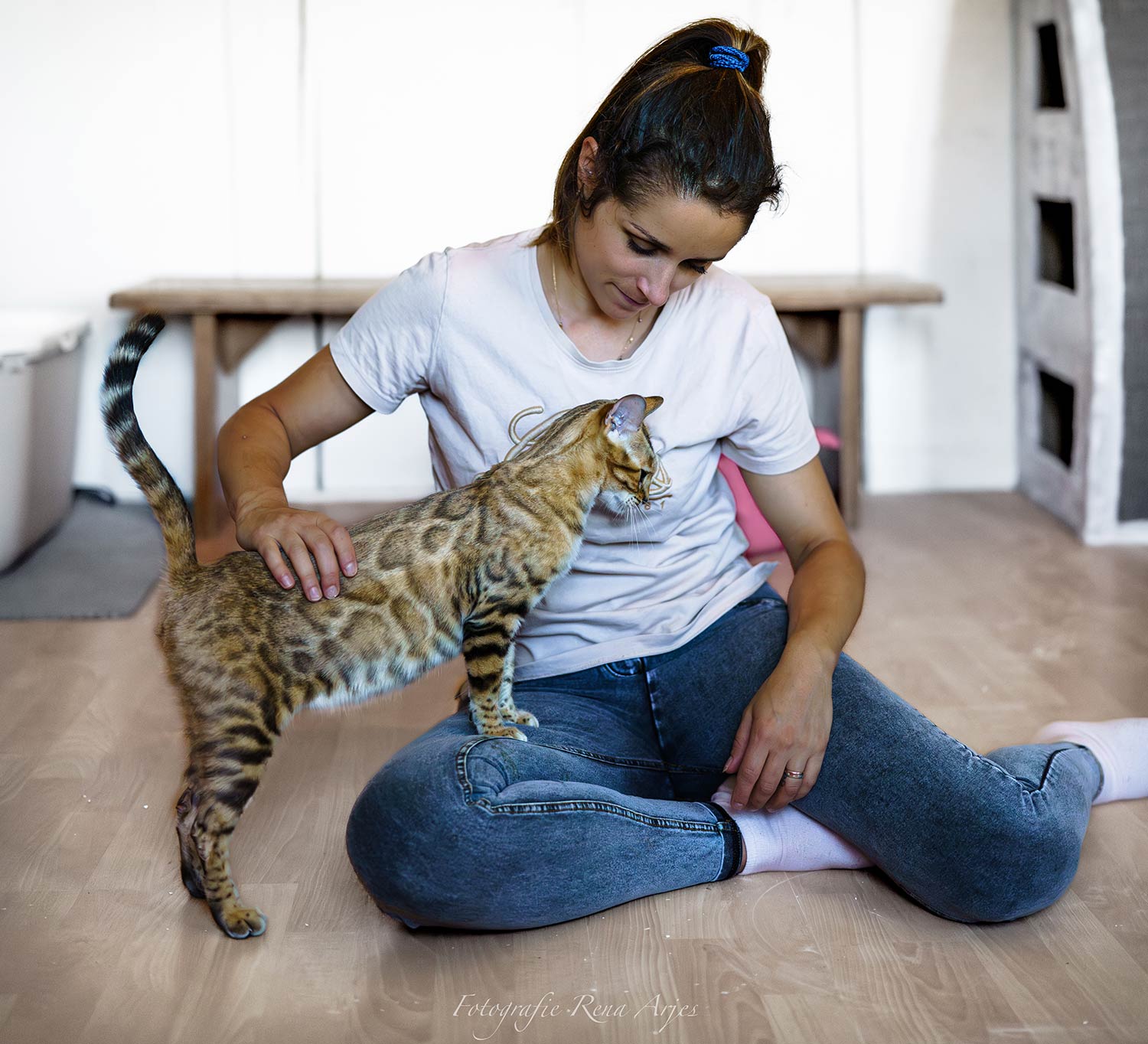 Elian-Haecki-Bengalzucht-1500 Elian Häcki mit Bengalkatze
